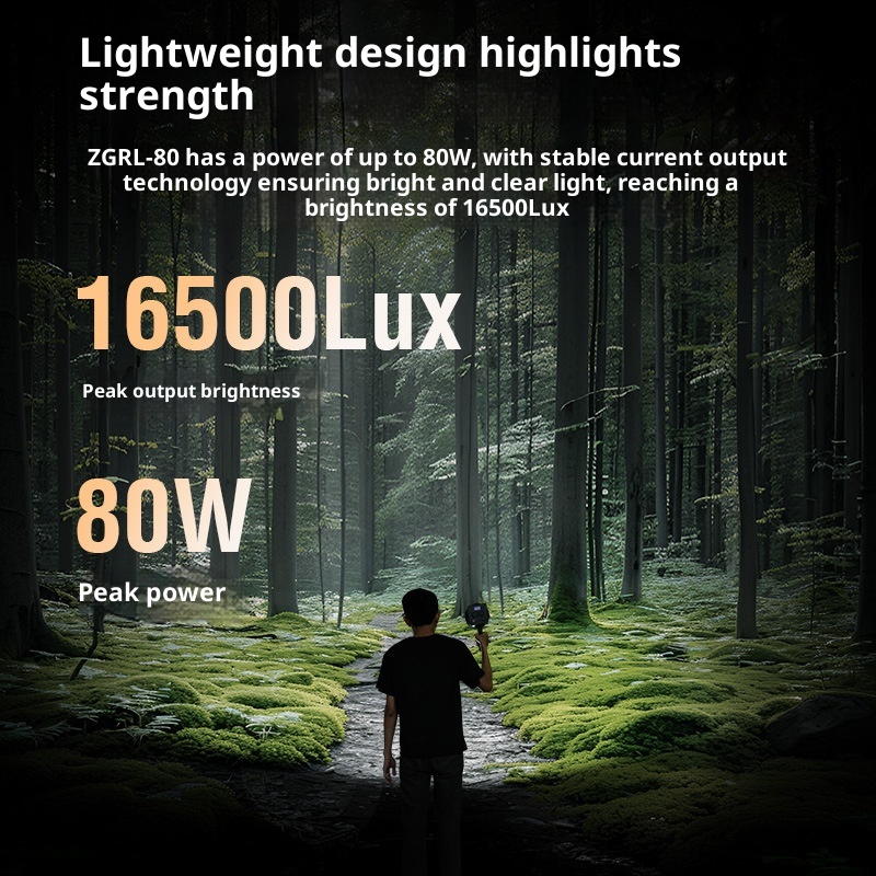 ZGRL80 80W COB LED Video Light - Outdoor Lighting Video avaliação e preço